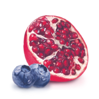 Blueberry Pomegranate