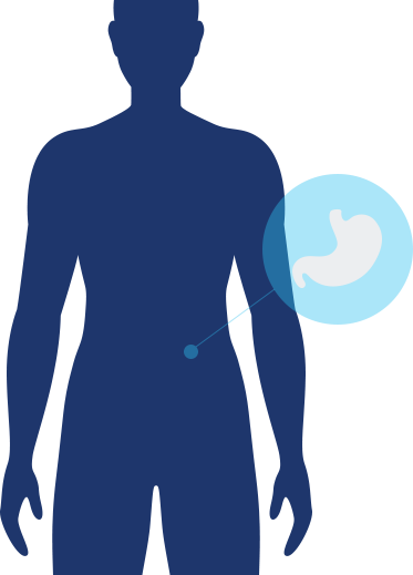 Digestion Benefit
